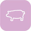 Iberico